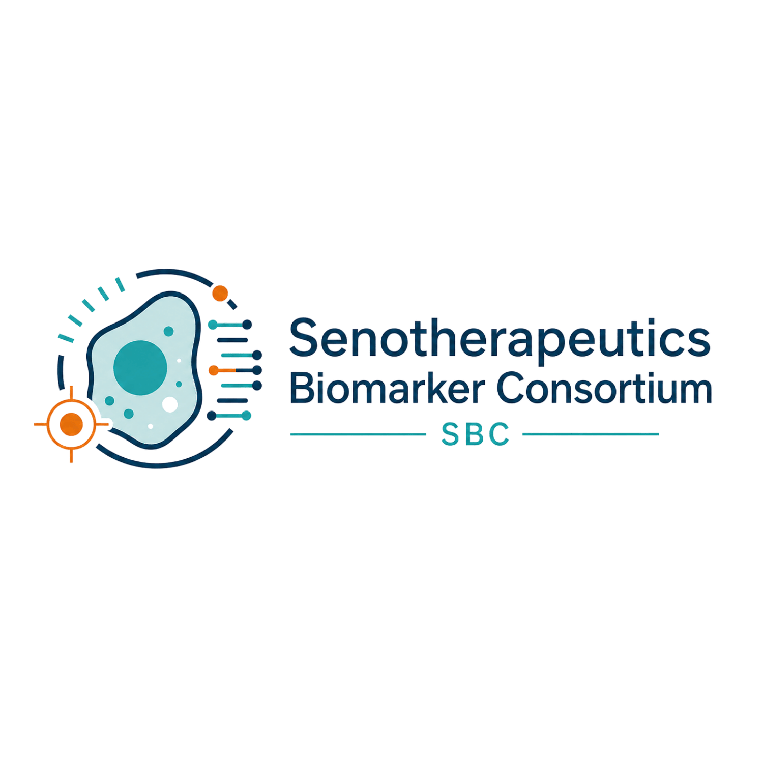 Senotherapeutics Biomarker Consortium logo